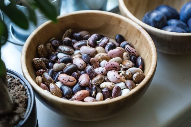 protein-rich beans